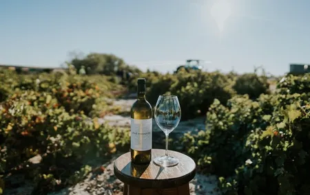 Ribera Del Duero And Rueda White & Red Wine Route