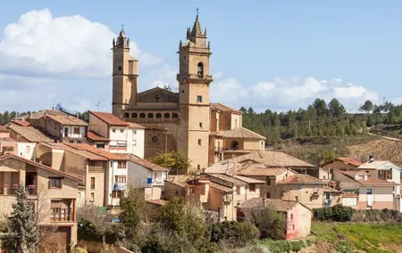Private Tour to La Rioja Wineries from Madrid