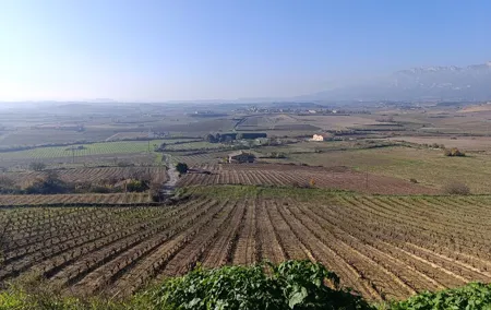 3 Day 2 Night Private Tour to Rioja From Madrid