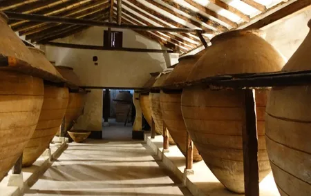 3Days Exclusive Wineries in Chinchon and Segovia and Peñafiel