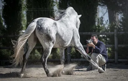 Equestrian Photography Class