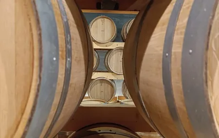 2 Day Ribera del Duero Private Wine Tour from Madrid