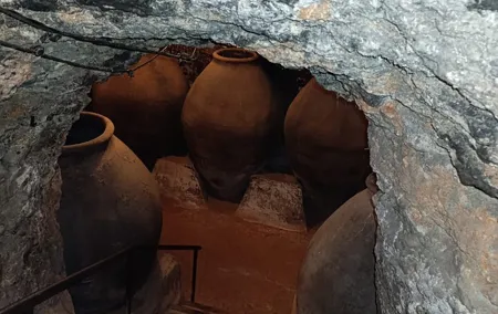 Madrid Wine Experience: Winery Tour & Lunch in Chinchón