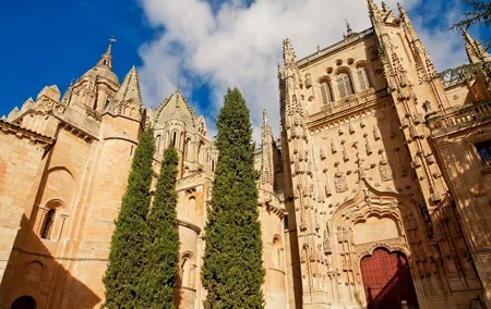 Private Tour to Avila and Salamanca from Madrid
