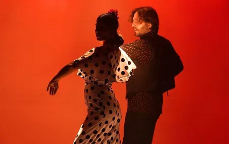 Flamenco Show Ticket at Theatre Barcelona City Hall