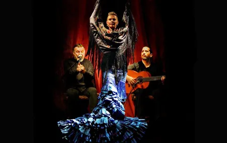 Flamenco Casa Sors & Guitar Museum with Optional Drink or Dinner