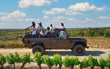 Penedes Wine & Cava Tasting & 4WD Vineyards Tour from Barcelona