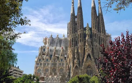 Barcelona Highlights Private Tour with Driver and Official Guide
