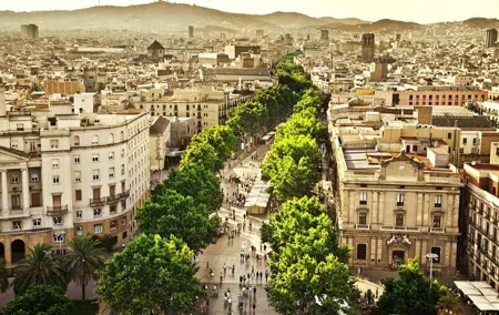 Barcelona Half-Day Sightseeing Private Tour