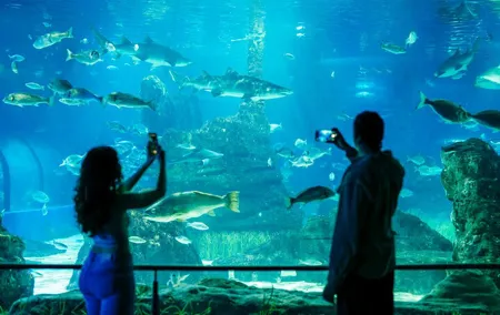 Barcelona Aquarium Skip the Line Ticket