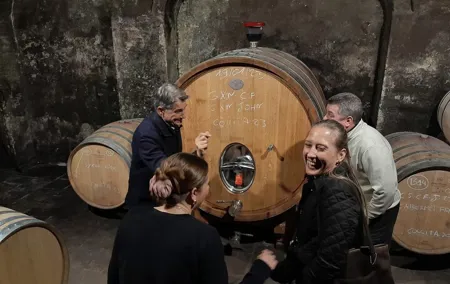Priorat tour to 3 small wineries and hotel pick-up