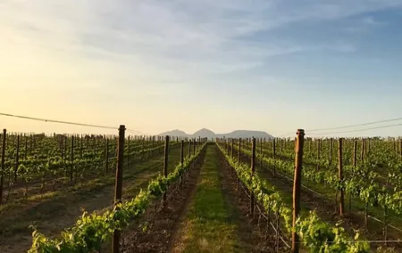 Costa Brava Coves Towns and Winery Private Tour