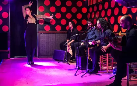 Barcelona Gothic Quarter Tour and Flamenco Show