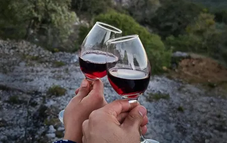 Barcelona: Magic Montjuïc Tour with Wine Tasting