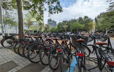 Private Bike or E-bike Tour Starting from your Hotel