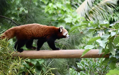 Barcelona Zoo Entrance Ticket
