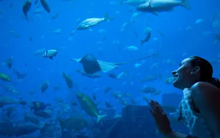 Barcelona City Tour Hop-On Hop-Off and Aquarium