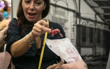 Food and Market Tapas Tour
