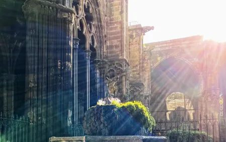 Gothic Quarter & Picasso Museum Private tour
