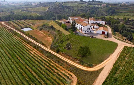 Viticulture and Wine-Tasting 3-Hour Trip from Barcelona
