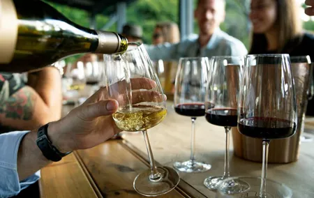Polish Wine Tasting - not only polish vodka is awesome