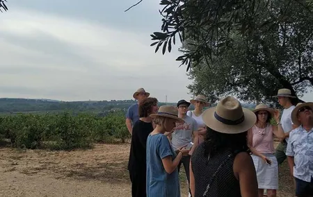 Private Wine & Cava Tasting Tour In Penedes with hotel pick up