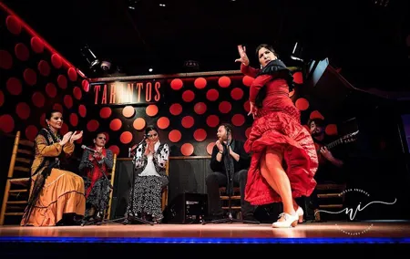 Barcelona Evening Tour, Flamenco Show & Tapas