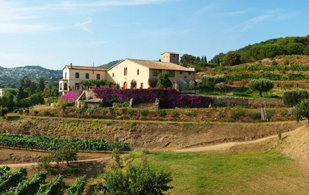 Private Breakfast Winery Experience - Private Wine Tasting Tour