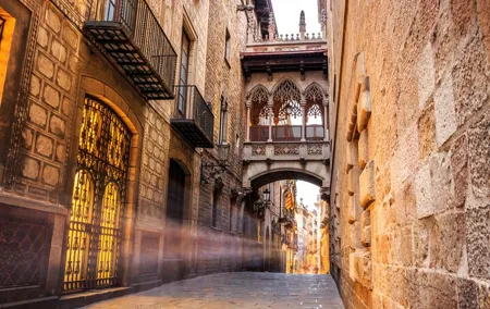 Barcelona Gothic Quarter Private Walking Tour