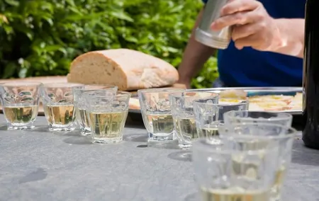 Food and Wine Small Group Tour from Barcelona - Maximum 8 people