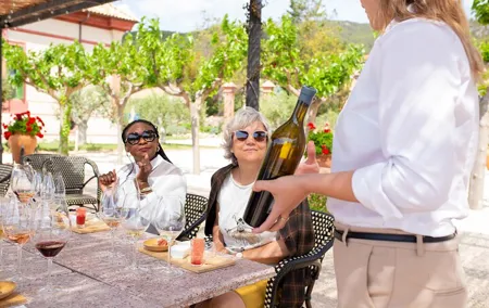 Gourmet Winery Tour: Wine Tasting and 8-Course Gourmet Menu