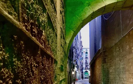 Explore hidden streets of Barcelona with a local - Private Tour
