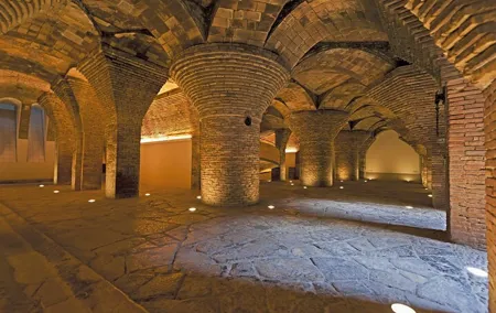 Gaudí and Modernistas 8-Hour Private Tour