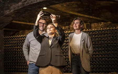 Private half-day Cava winery tour & tasting