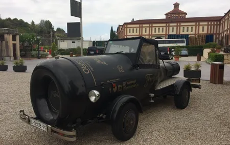 Wine tour - Penedes wine region - (2 wineries included)