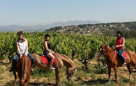 Horseback Ride, Penedes, Wine Tasting & Tapas Private Tour