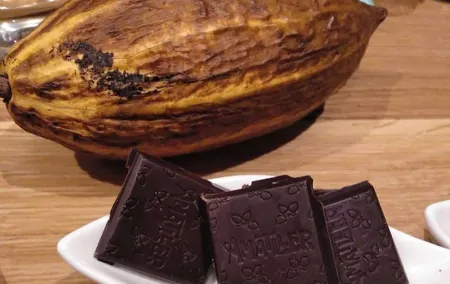 Chocolate tasting room & aromatic cocoa factory tour near Barcelona