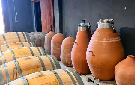 Tarragona Private Food and Wine Tour from Barcelona