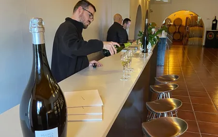 Wine-tasting tour: transfer with lunch (optional)