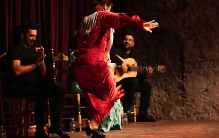 Old Tow Flamenco Show and Born Tapas Tour