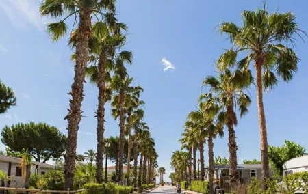 Private Transfer from Airport Barcelona to Coma-ruga