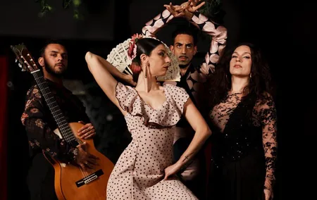 Authentic Flamenco Live Show With Wine in Barcelona