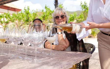 Private Wine Tasting at Winery Near Barcelona