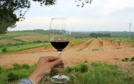 Barcelona Countryside Fullday Wine&Cava Tour with Lunch