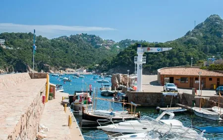Costa Brava Luxury Tour and Lunch from Barcelona