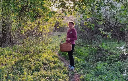 Herbal and Wild food walking tour in Warsaw area