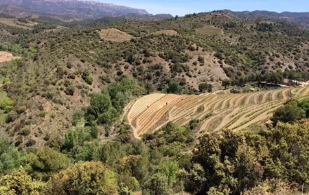 2 Days Wine Tasting Private Tour