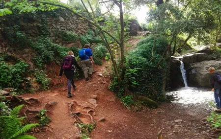 Montseny Guided Hiking Tour from Barcelona with Organic-friendly Lunch