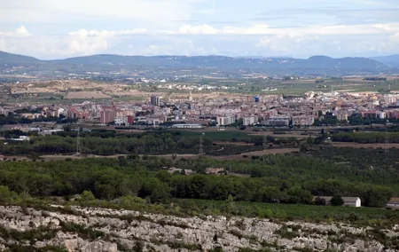 Private Day Trip to the Penedès Wine Region from Barcelona 8Hours