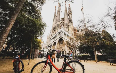 Private Barcelona Street Art and Bike Tour with Local Expert
